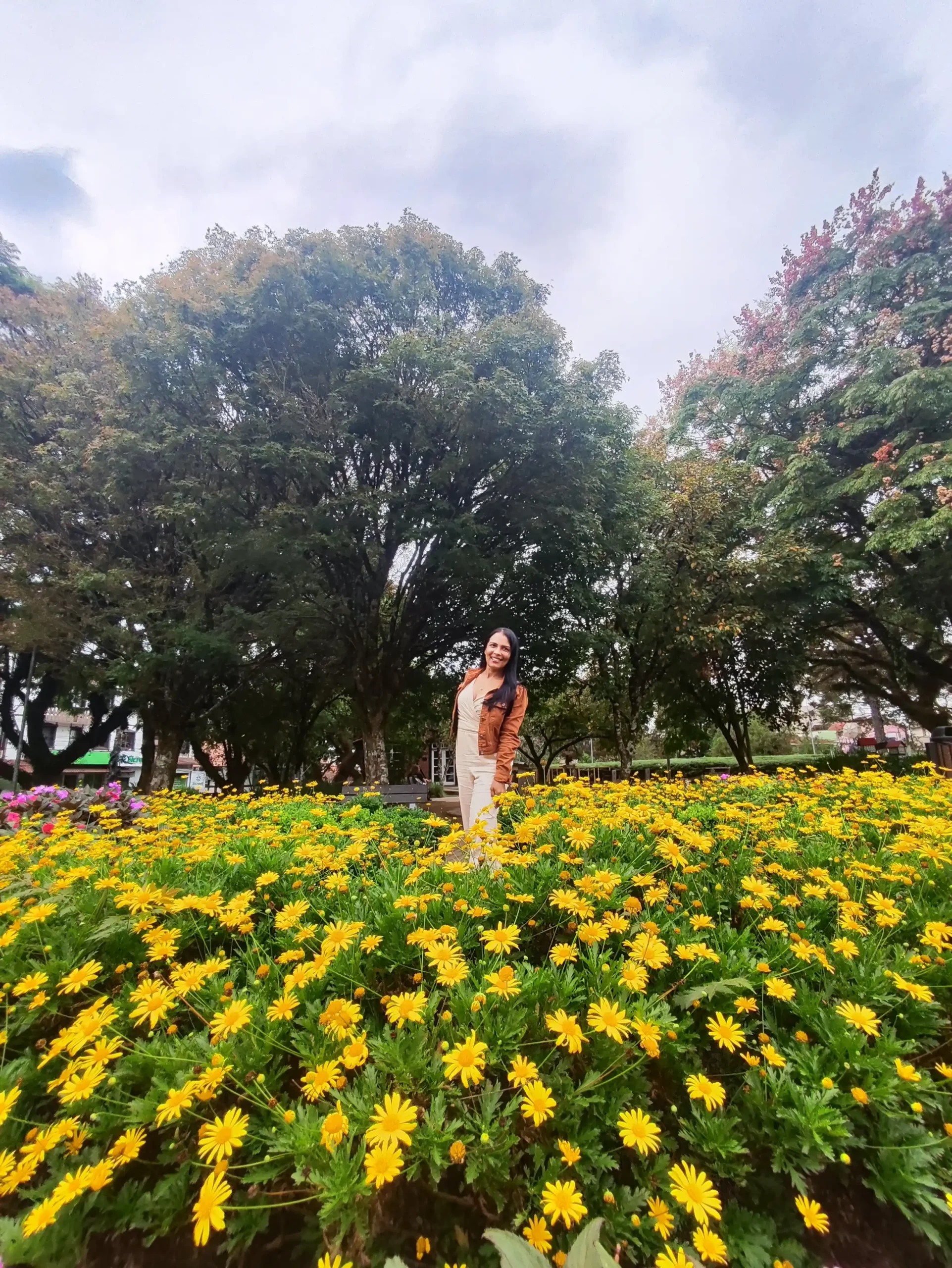 Tour Nova Petrópolis