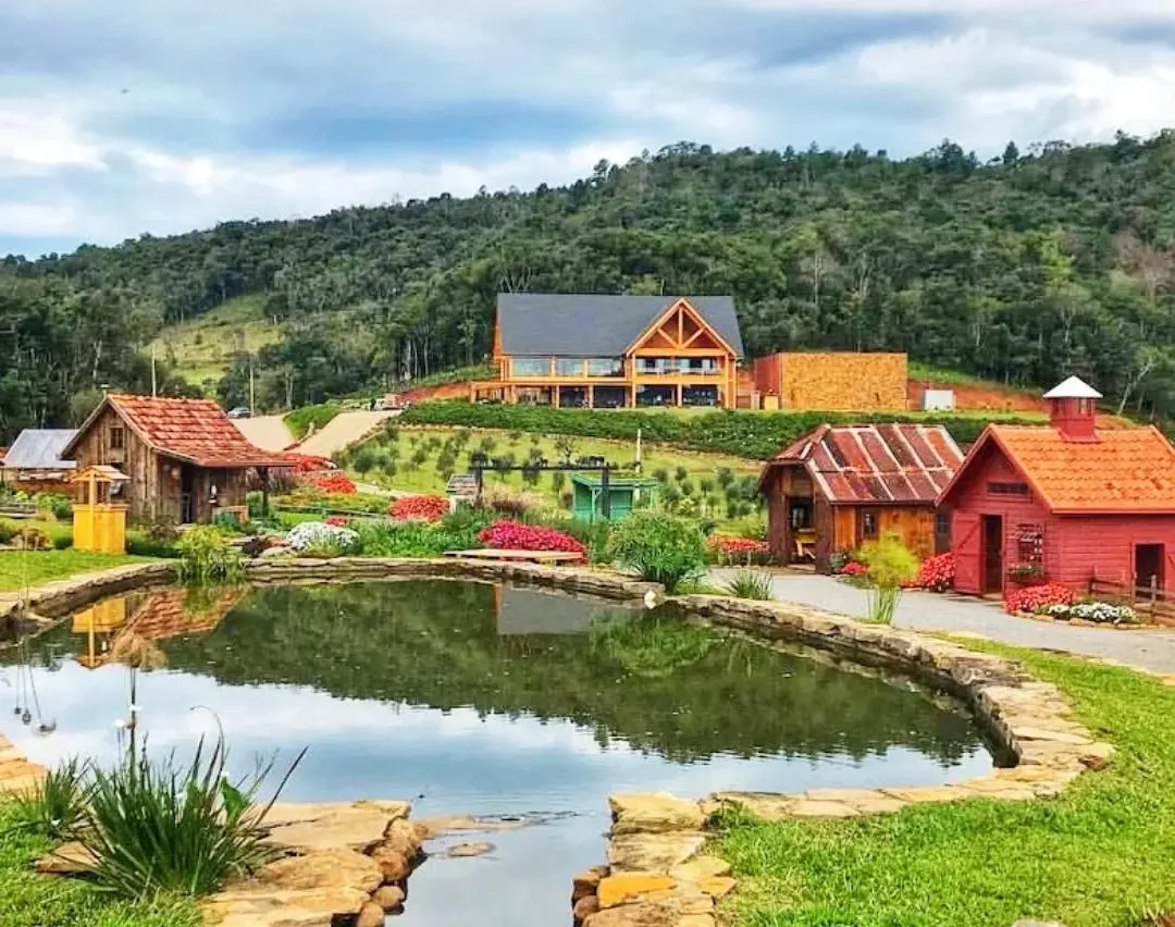 Olivas, Gramado