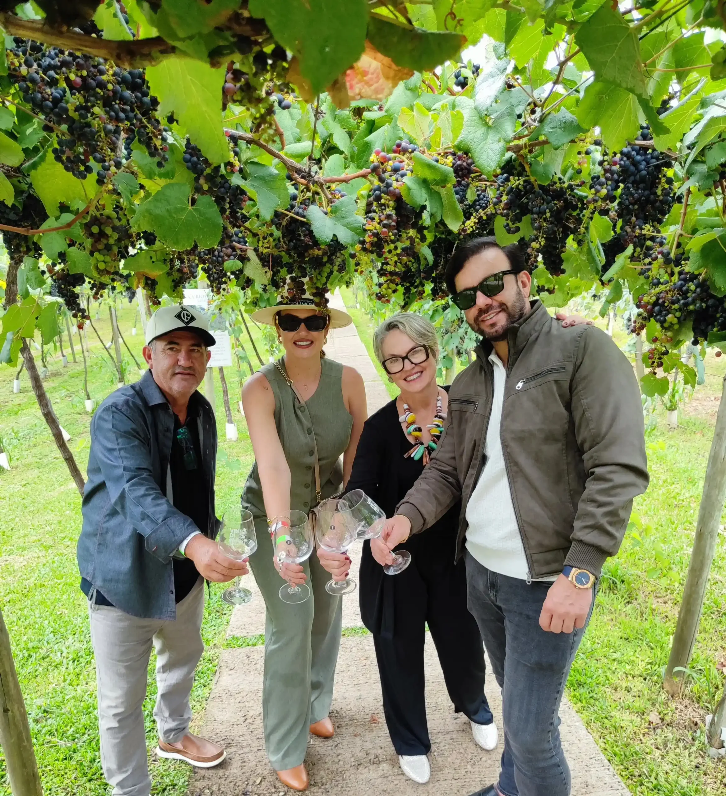 Tour Vale dos Vinhedos