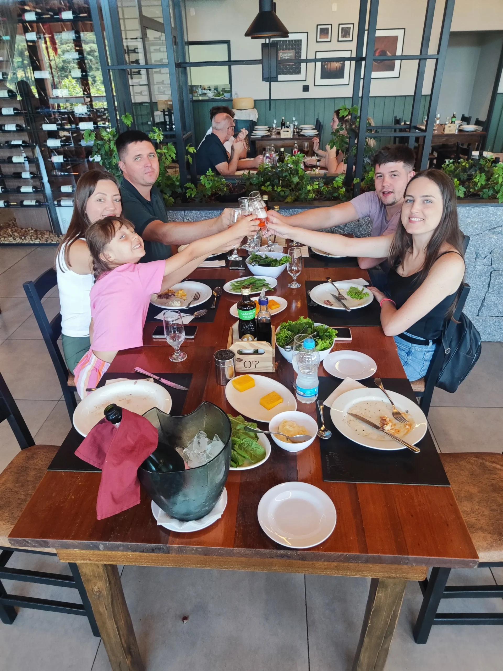 Tour Vale dos Vinhedos